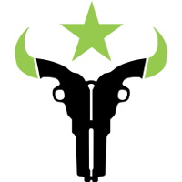 Houston Outlaws team logo