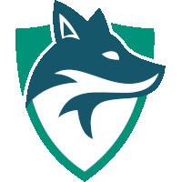 Skyfoxes team logo