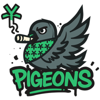 YFP Pigeons team logo