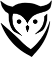 DETECT QUEENS team logo