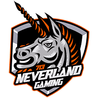 NEVERLAND713 team logo