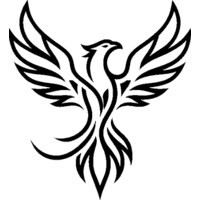 REBORN team logo